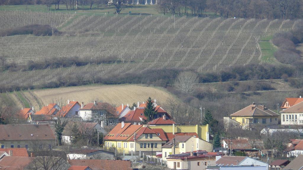 Apartment Zelezny Hrozen Valtice Zewnętrze zdjęcie